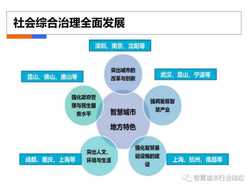 數據驅動治理 社會綜合治理大數據解決方案中的數據處理服務